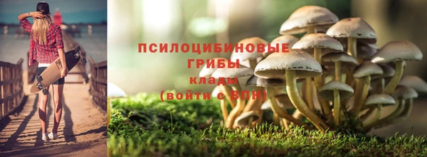 a pvp Майский